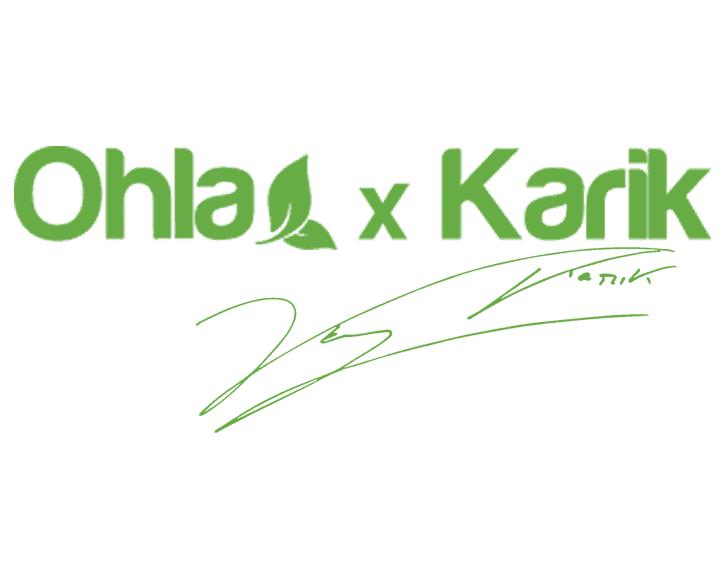 Logo Ohla Dream Agency