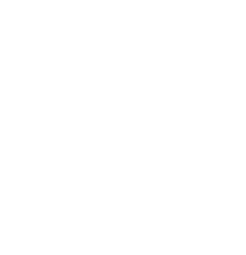 Logo Boss Store
