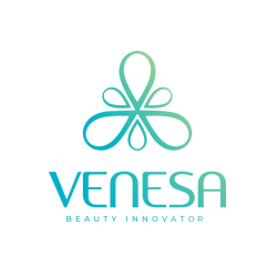 Logo Venesa Dream Agency